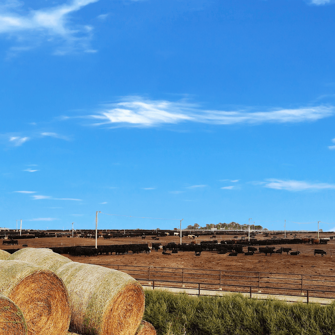 Passion for Agriculture, Commitment to Community